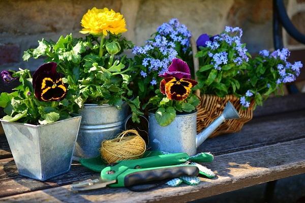 Jardinier